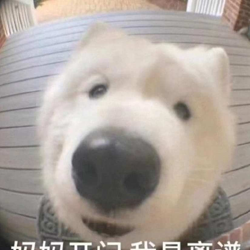 清风