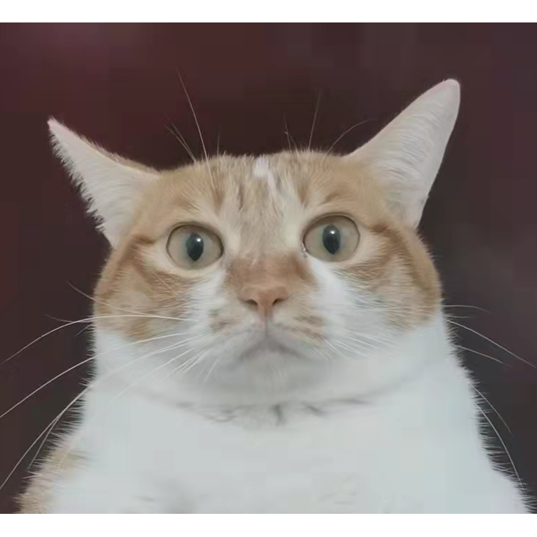 宇宙的白白白菜