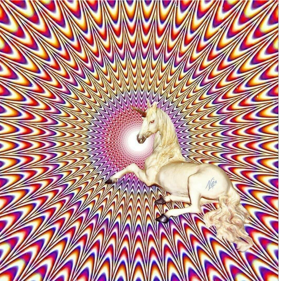 白仙᭄ꦿ゜এ