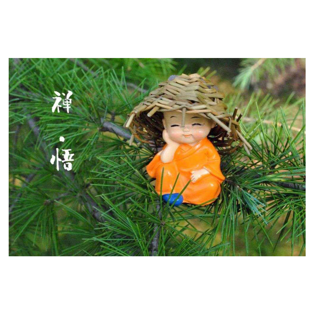 潇洒人生