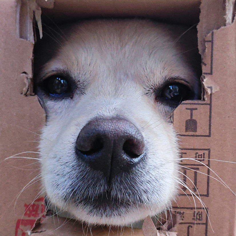 扬正气树新风促和谐