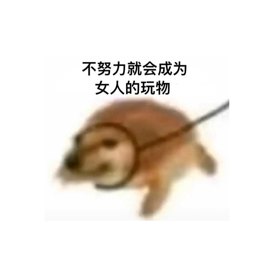 静心