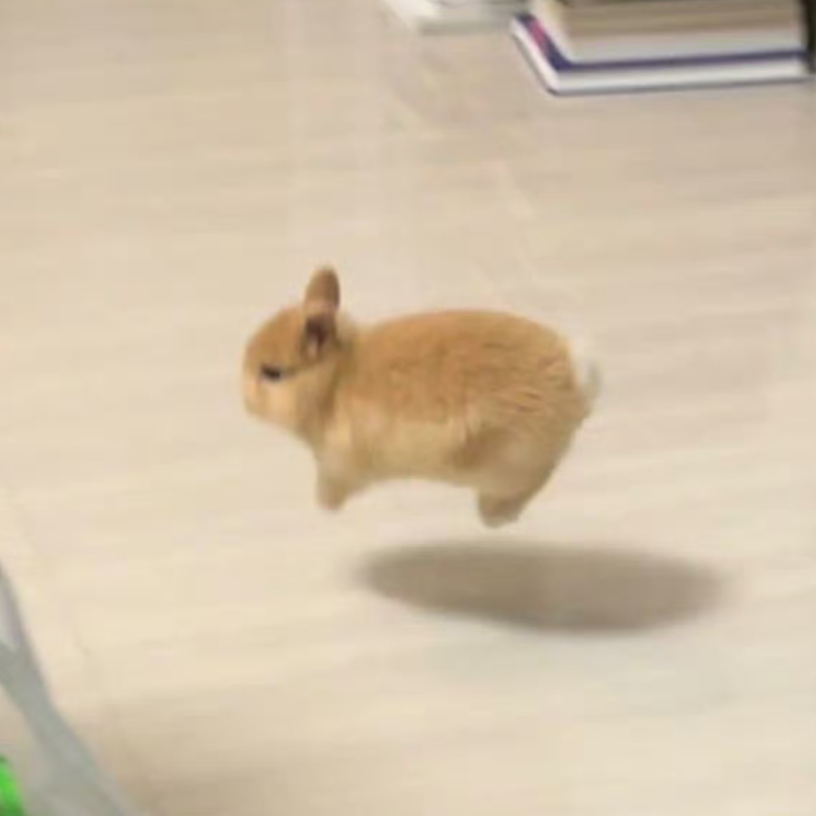 夏目友人赖账