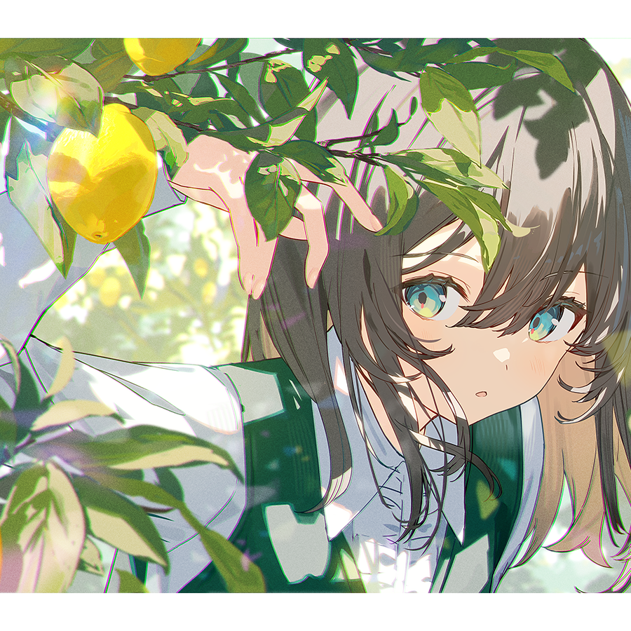 ……