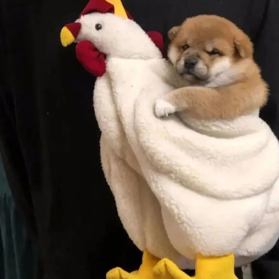 哈
