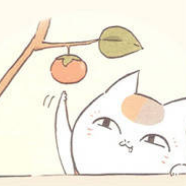 唯一猫猫k3k
