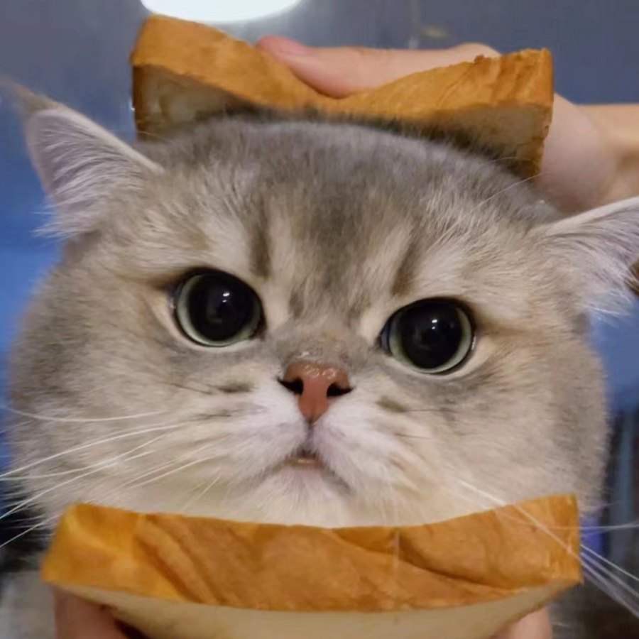 猫响大王
