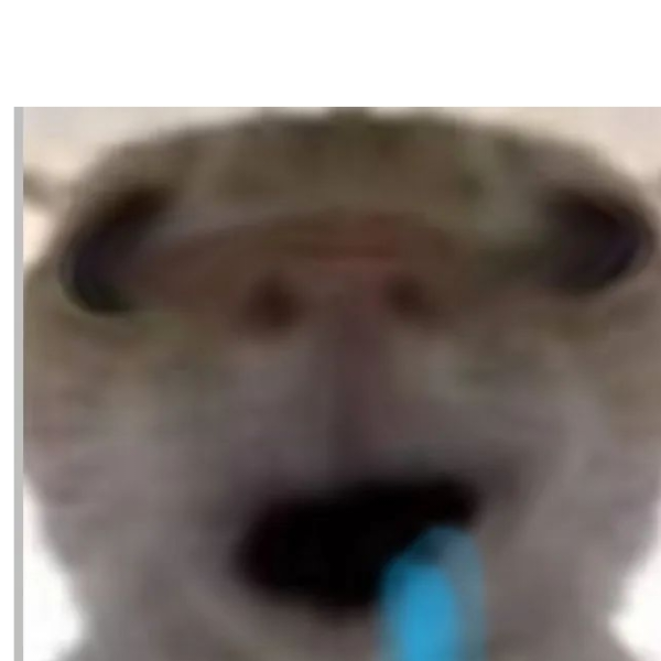 一只李博