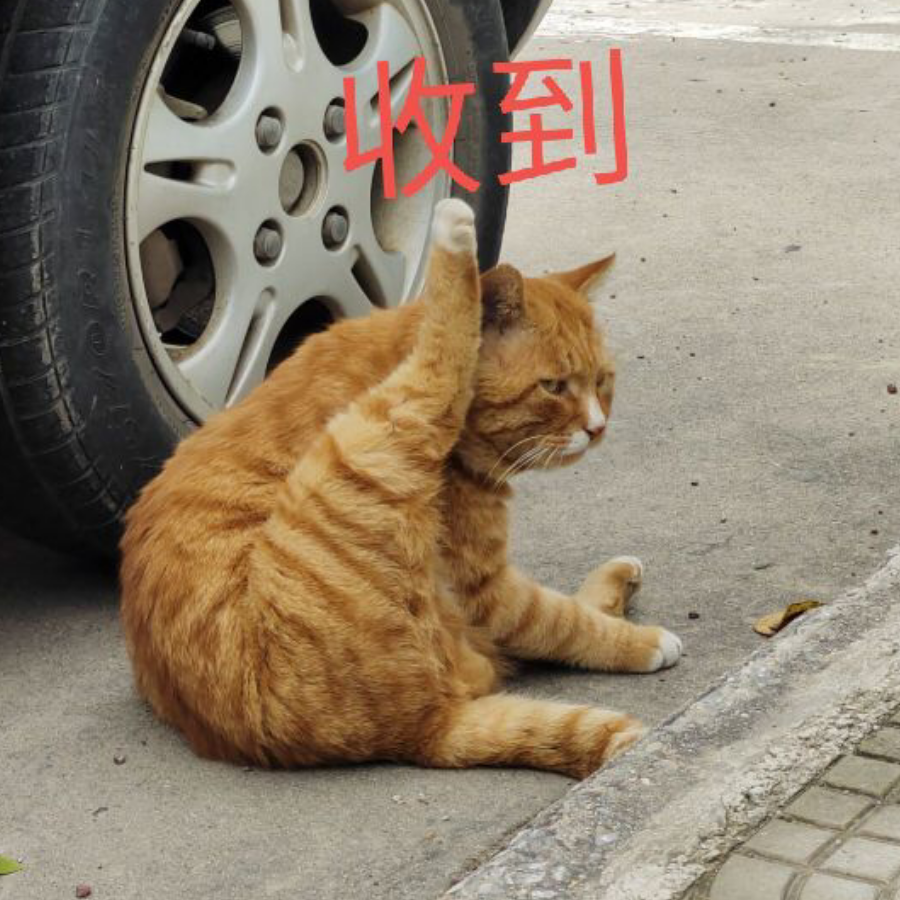 国际萌新保护法