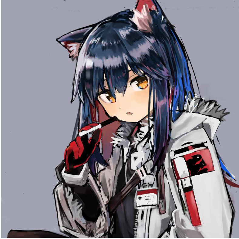 终末忍