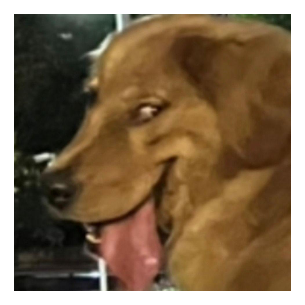 黑卡
