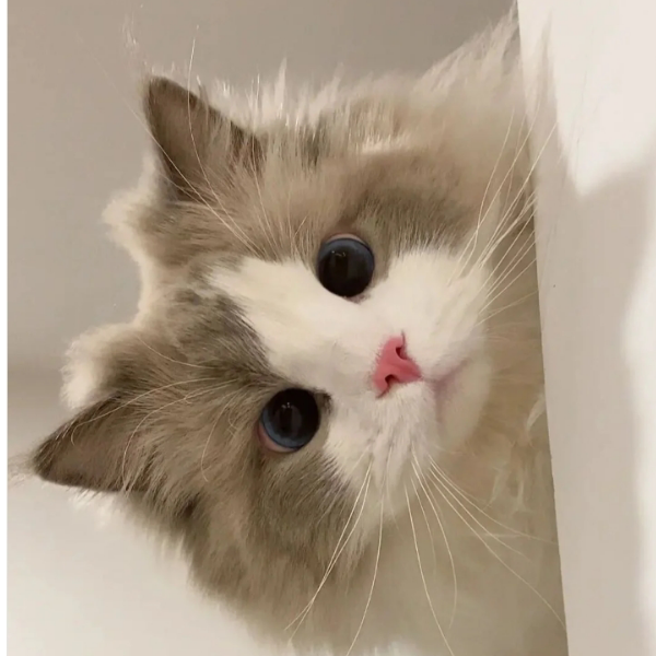 粼姀...