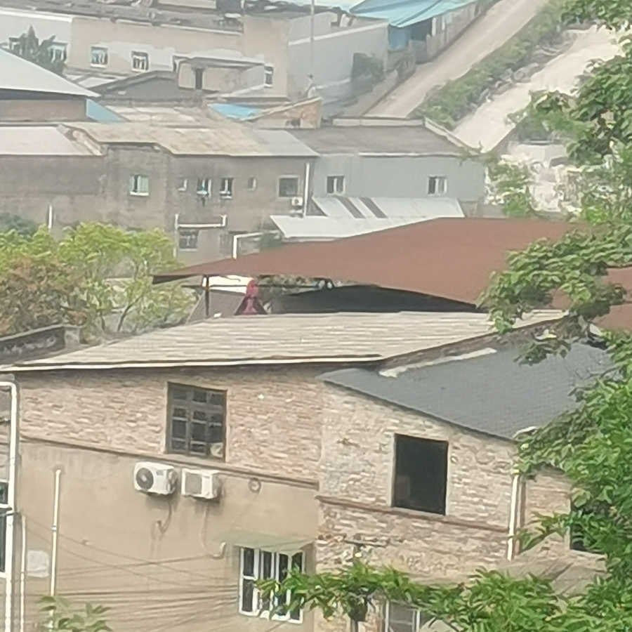 廖坎蒂