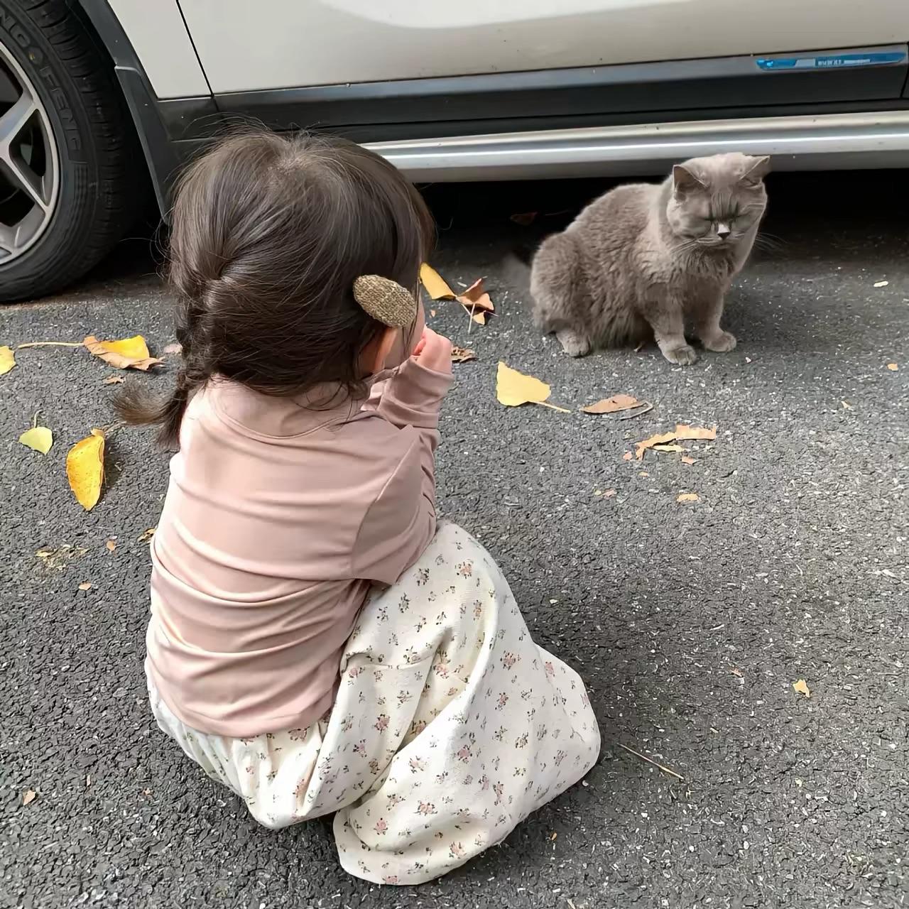 猫屎咖啡