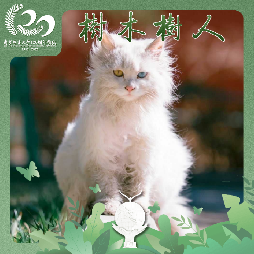 哈撒ki
