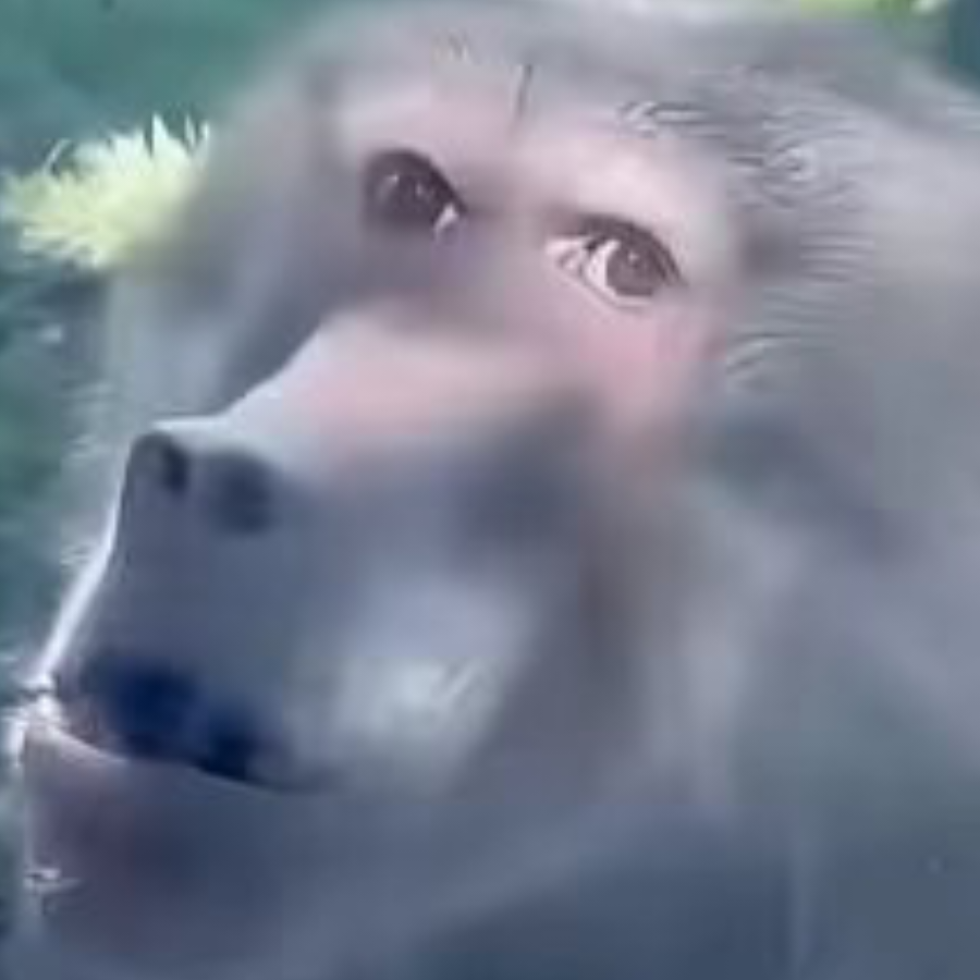 张景祥