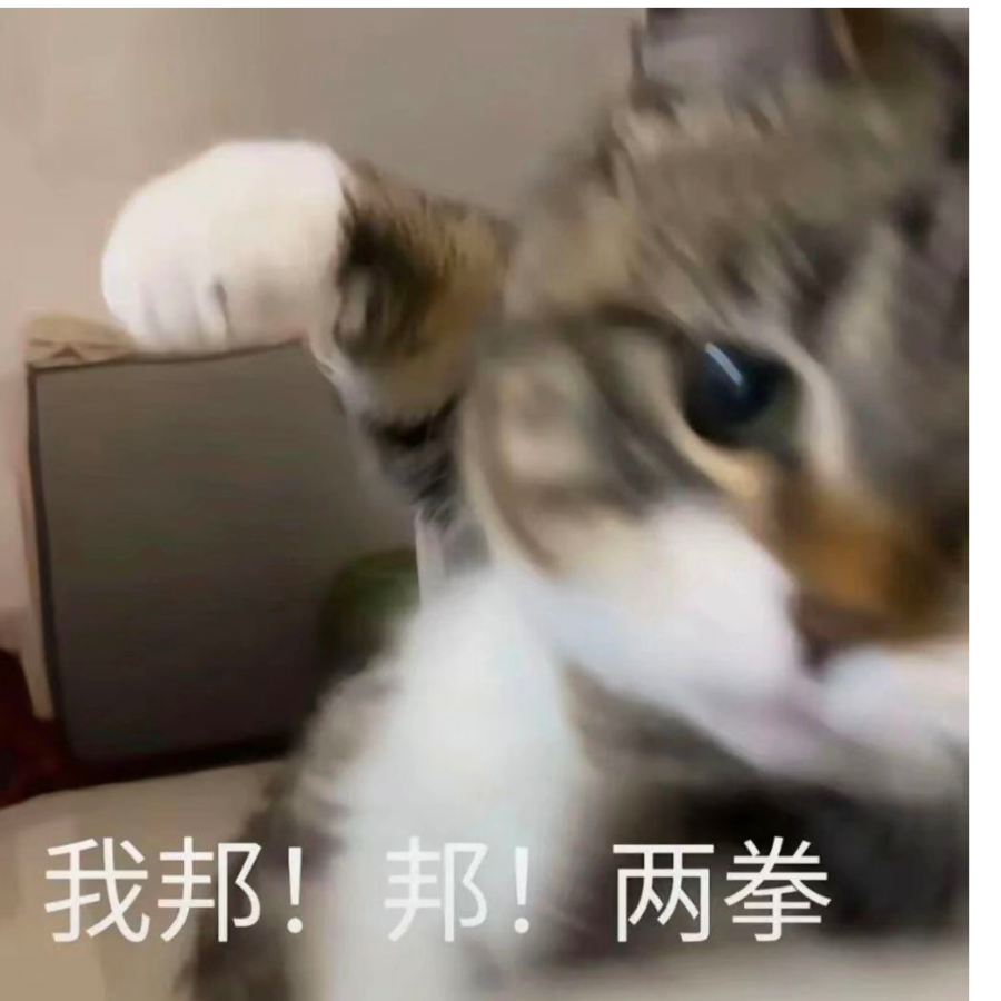 艾薇拉