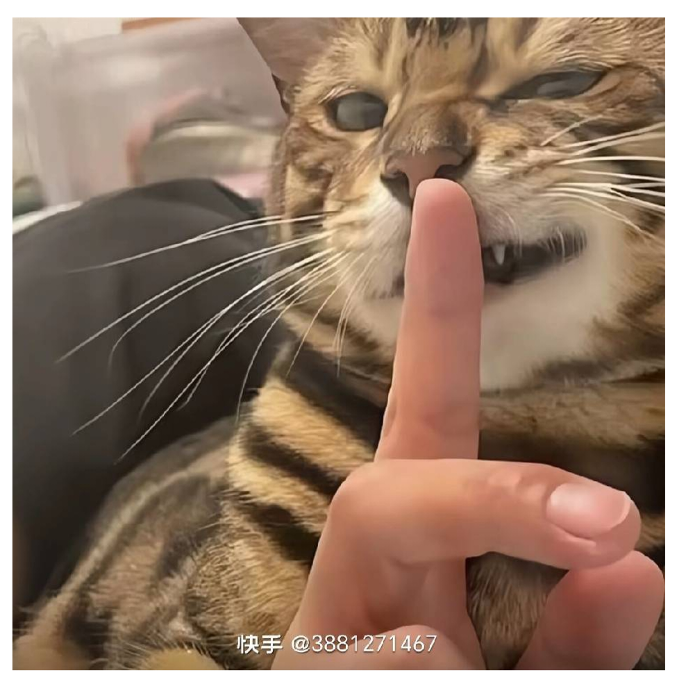 垂序商陆
