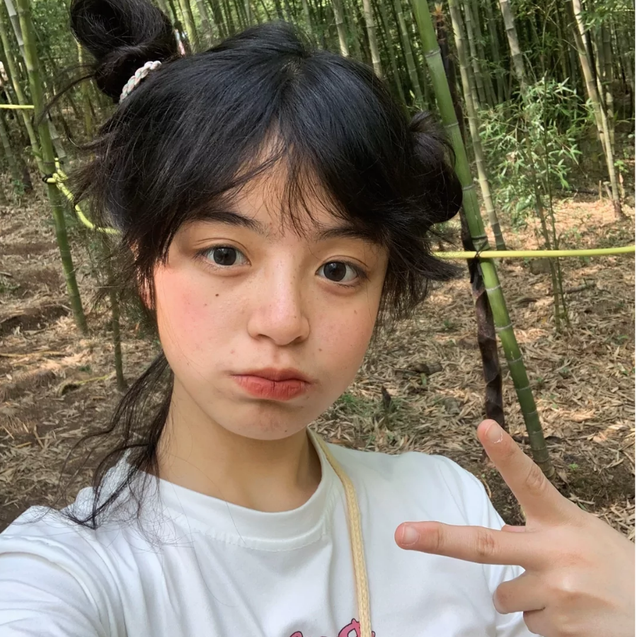查理查