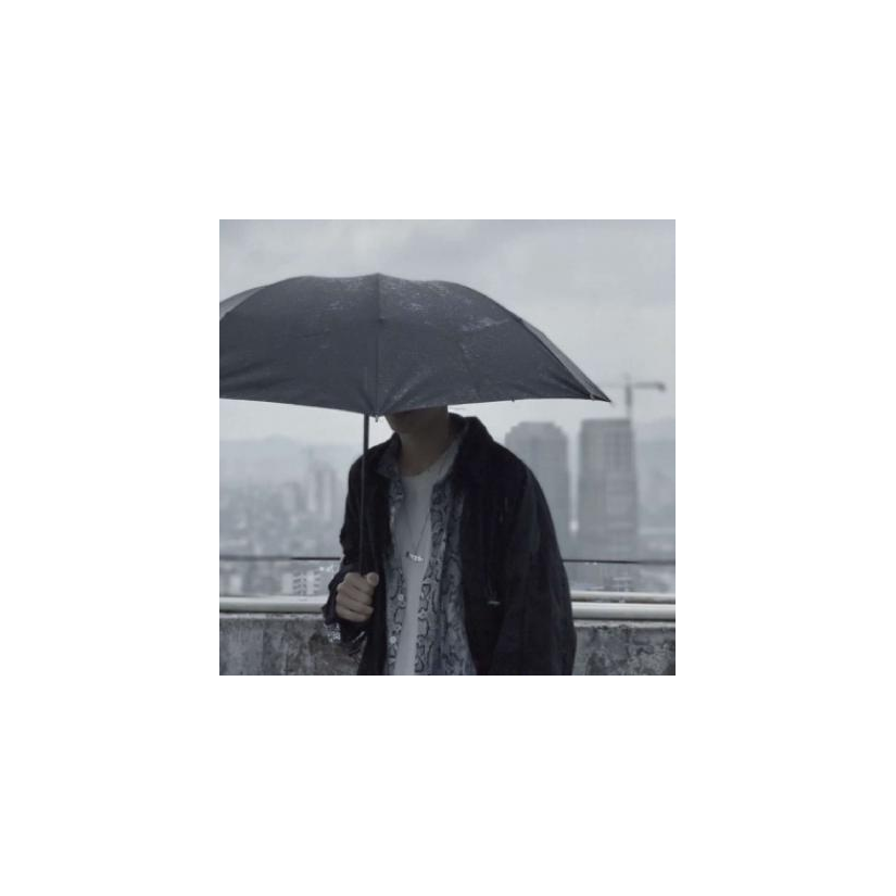 偏鲲