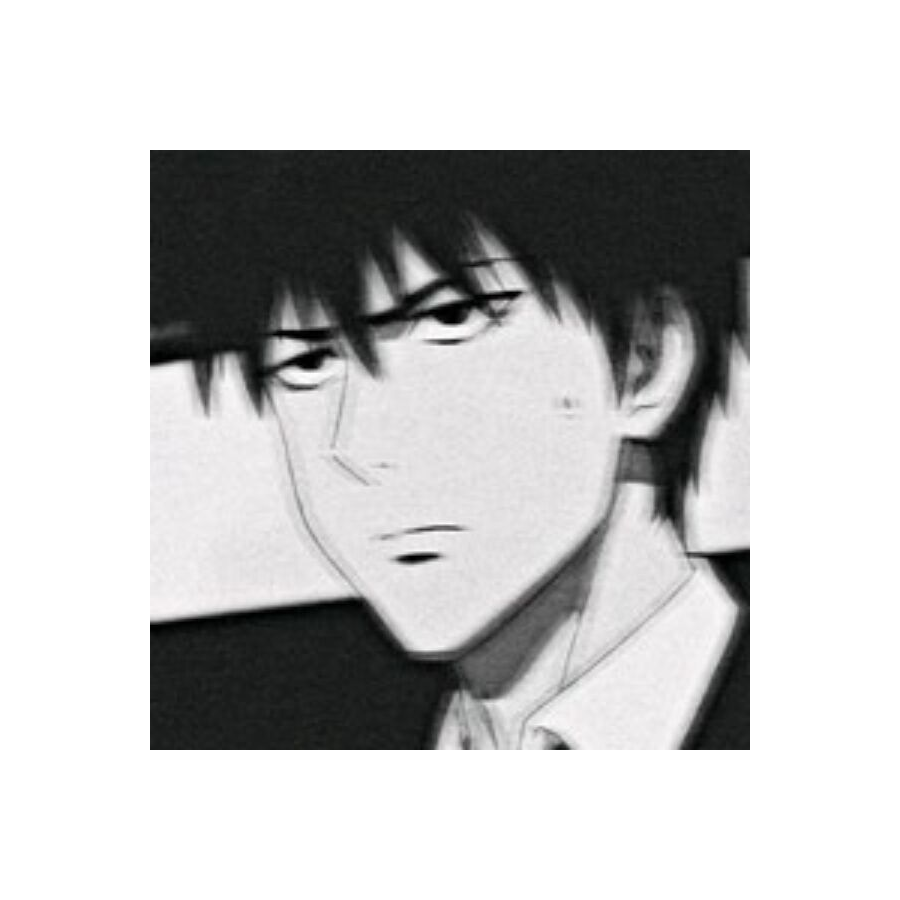 言晓生.