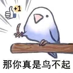 小虎鸟不起