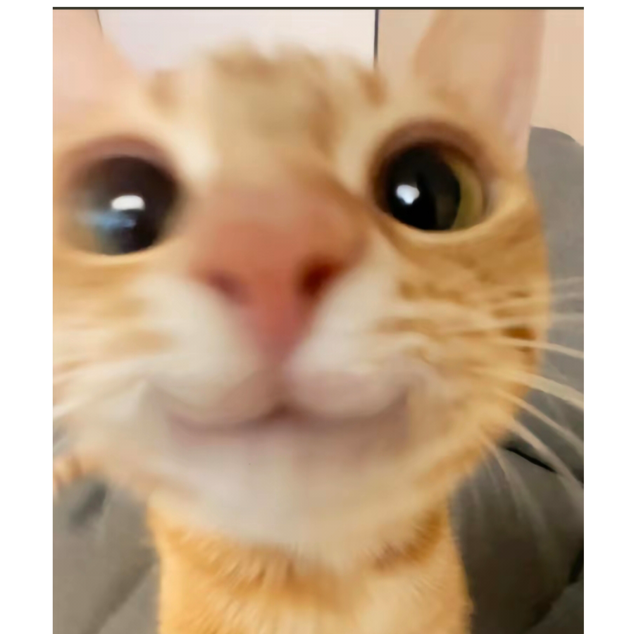 泱泱