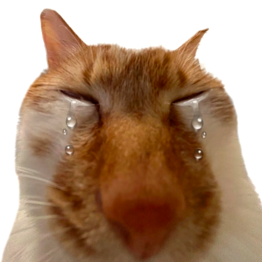 王皈