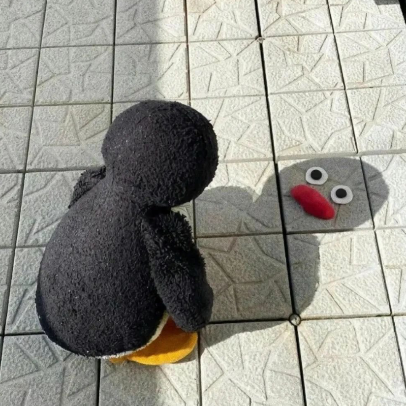 仙諗