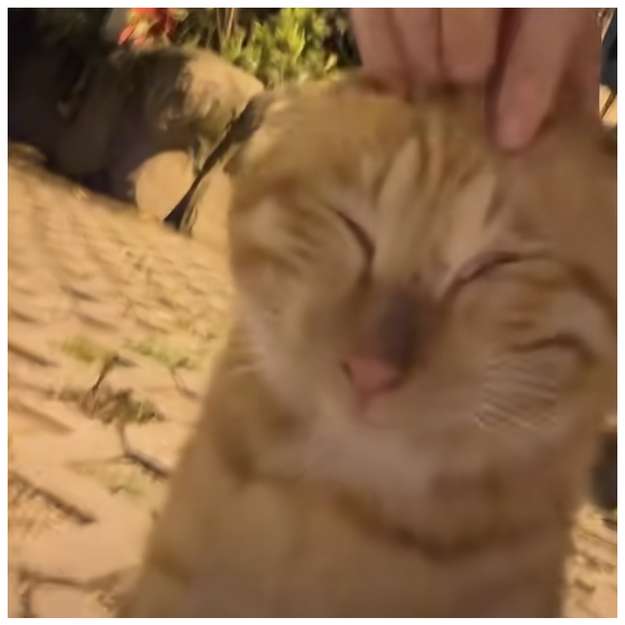 树莓
