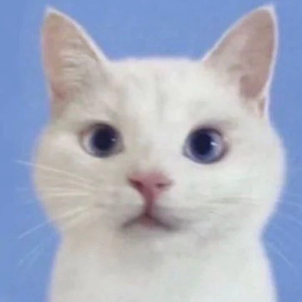 孔二十一