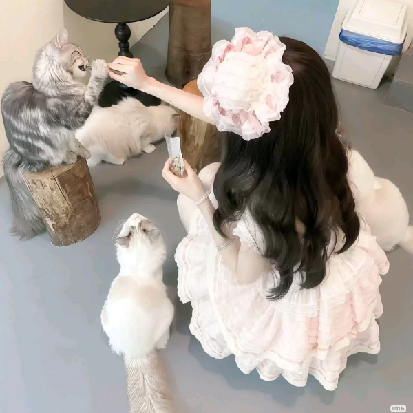 怪我景喻主义、