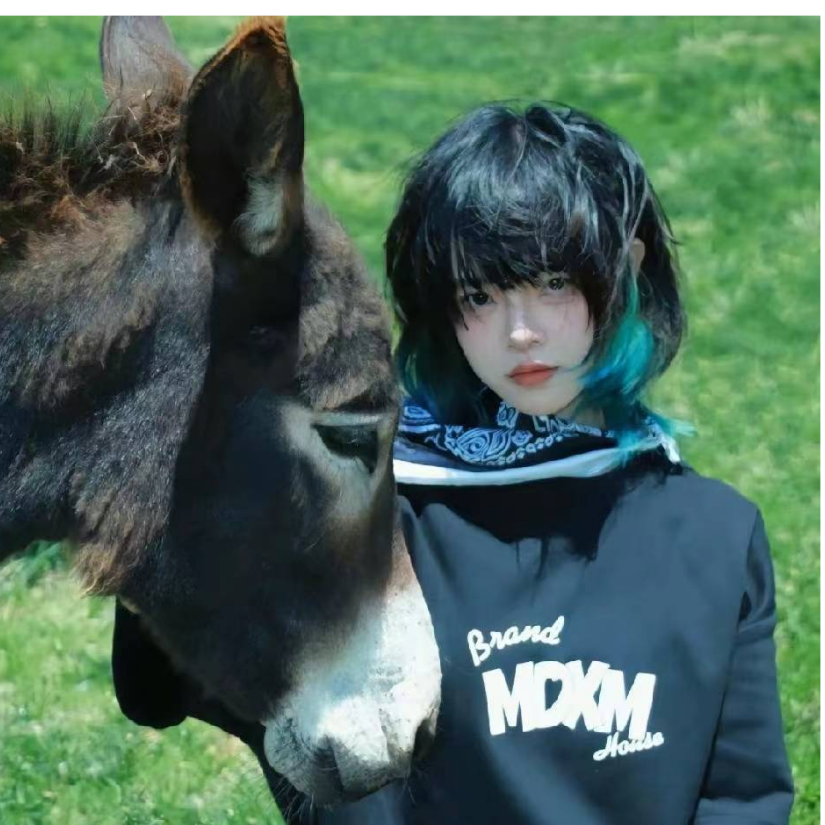 鑫琪