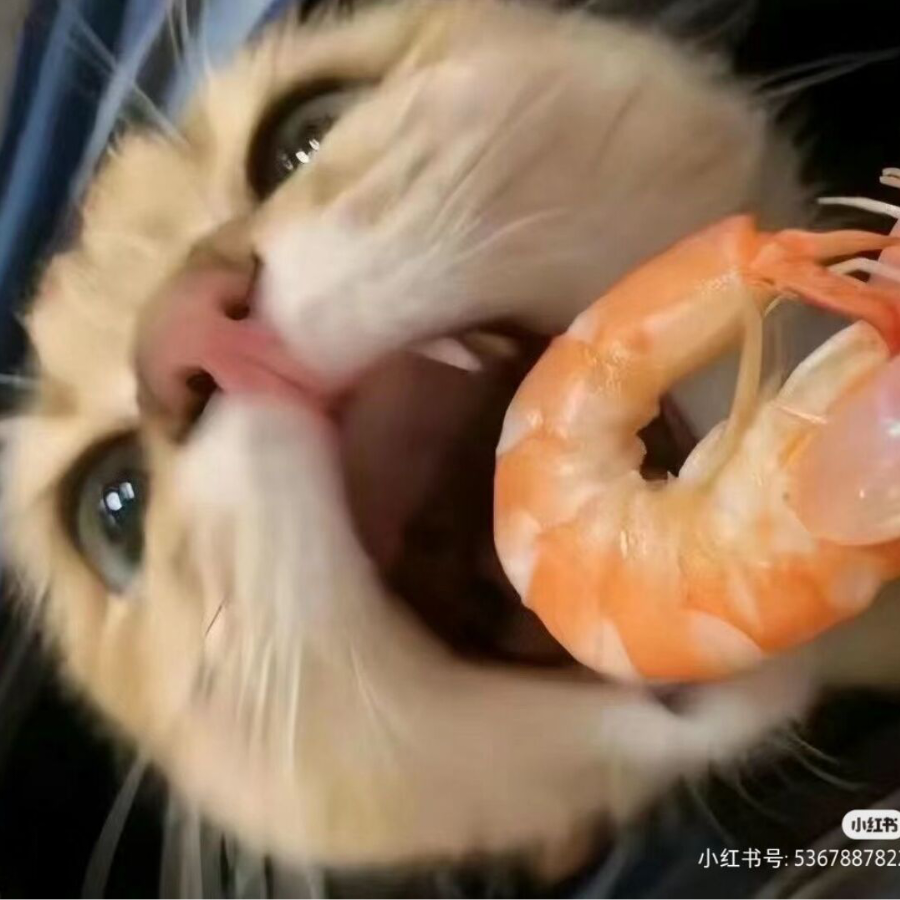 沈北欣