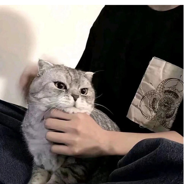 忘乎所以