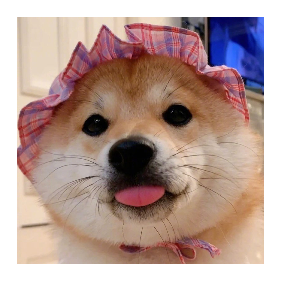小兔子乖乖