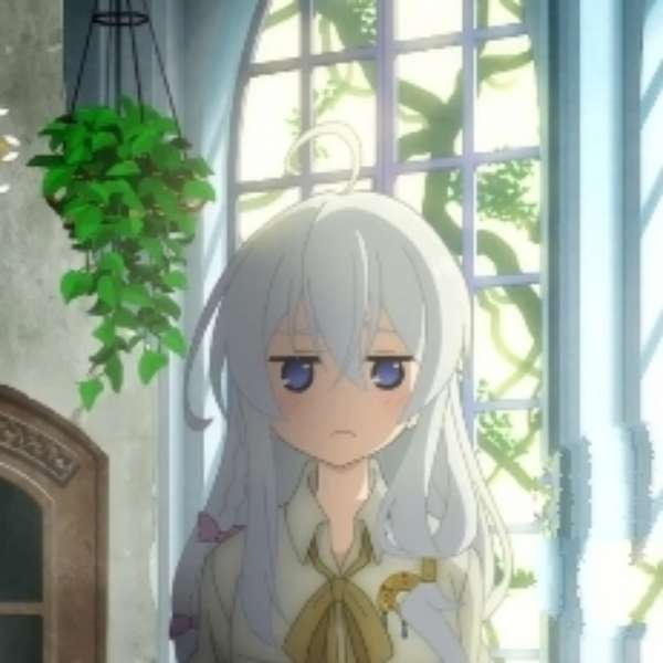 鸽子好困啊