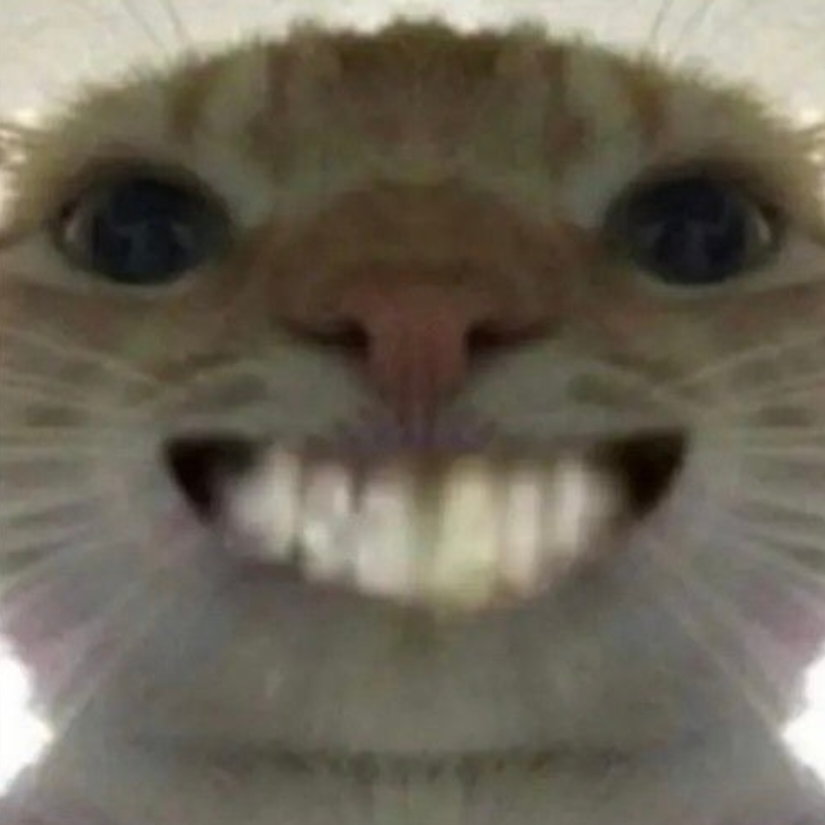 略略略