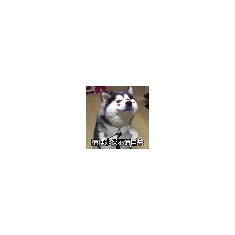 检区