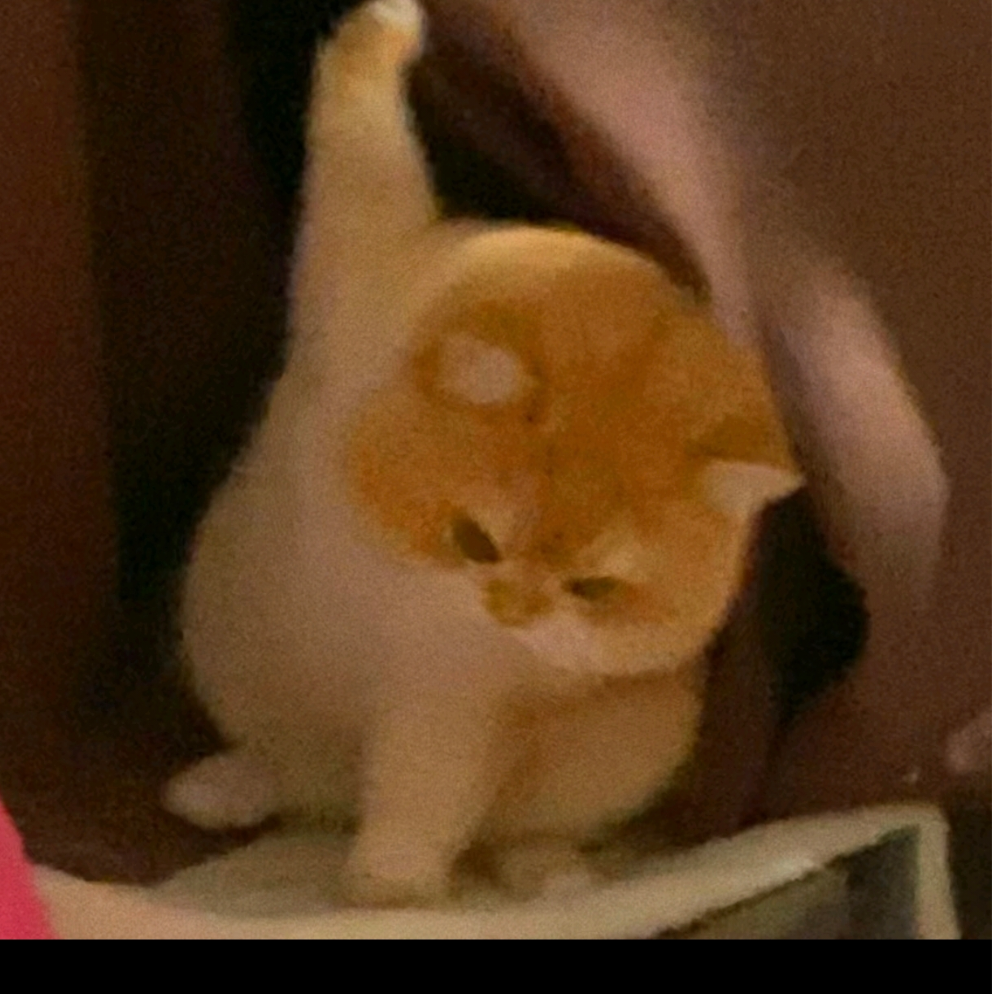 嘟嘟嘟