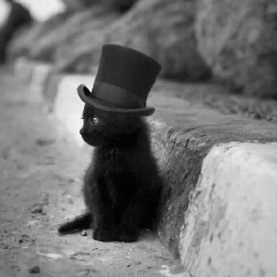 世界先生🎩