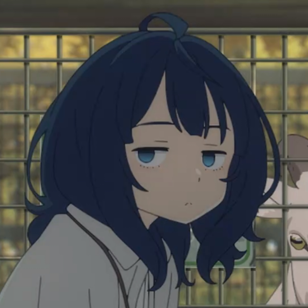 八奈見芹菜