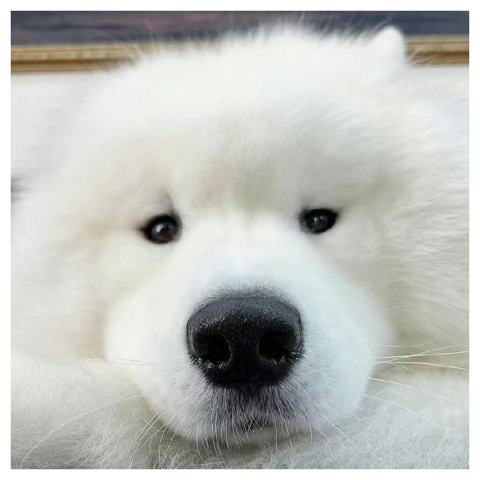 兮兮