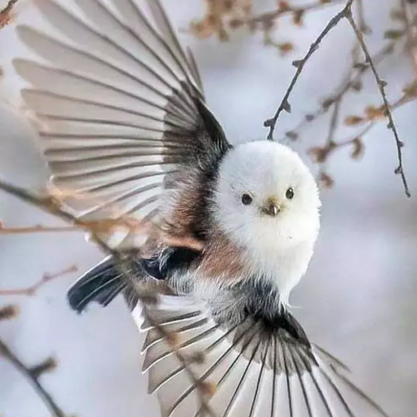 缅邈缱倦