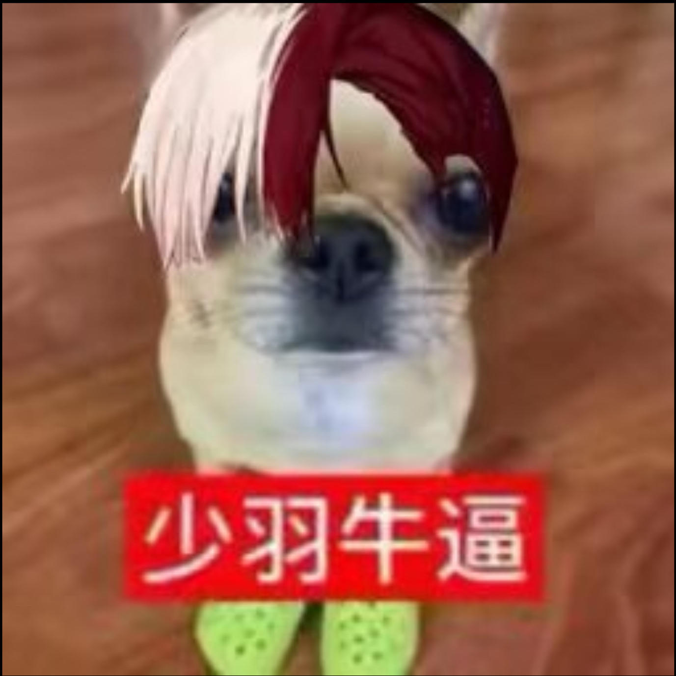 请树入文笨