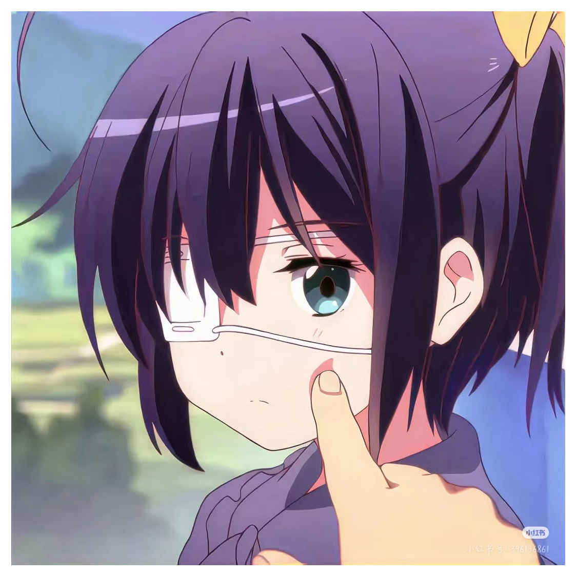 青鸟ﯩﯩﯩ