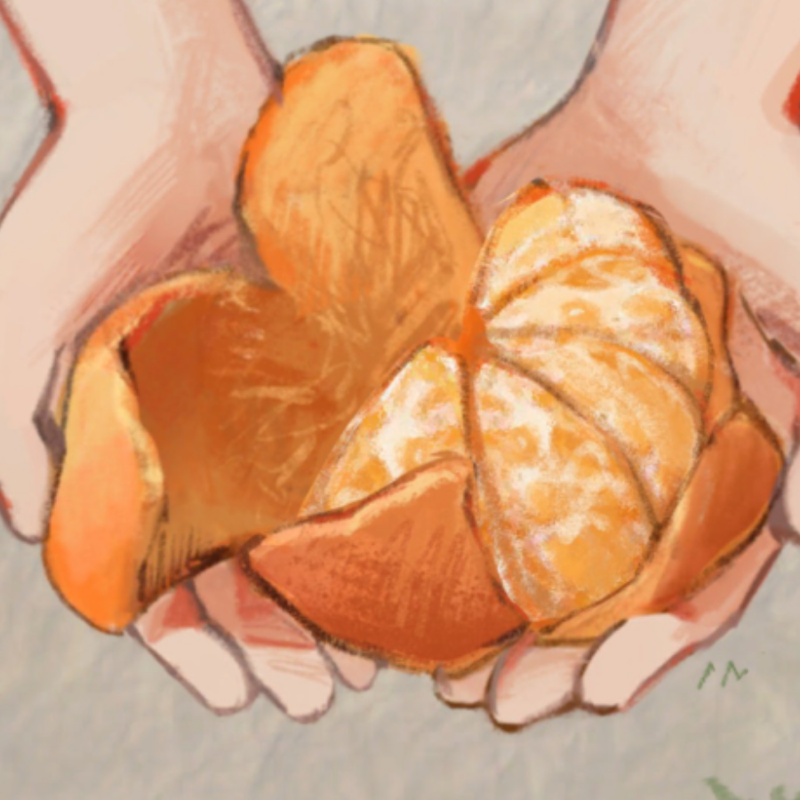 请吃橘子🍊