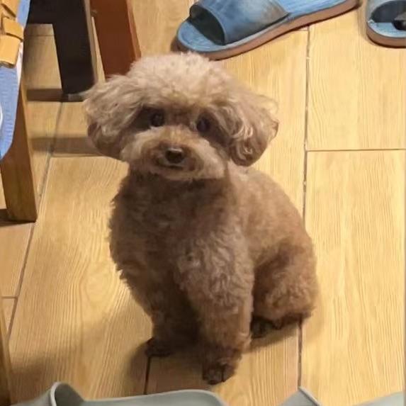 西瓜(๑˃̵ᴗ˂̵)و🍉