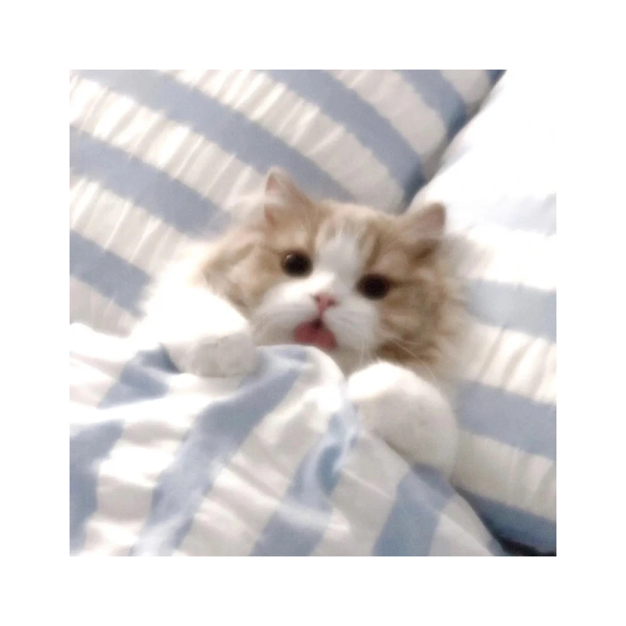 看到你的追求者