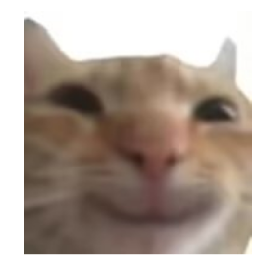 木木保～